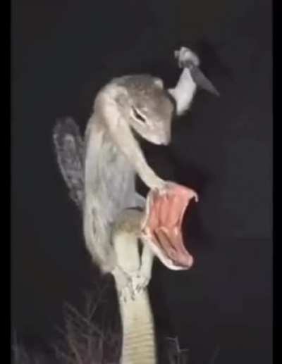 Title