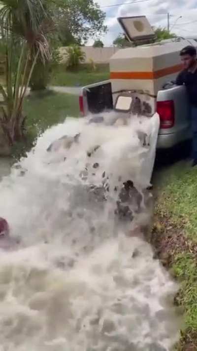 HMB while I help release the fish