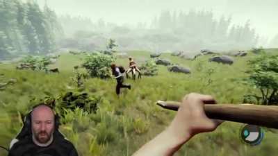 it gallops