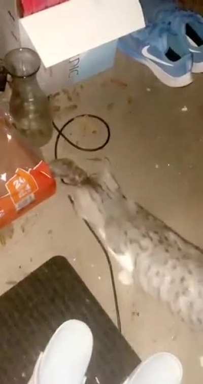 You have to share with your friends