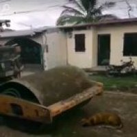 Sem título fds