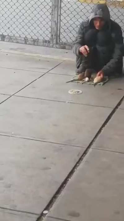 How did this homeless man domesticate mice?