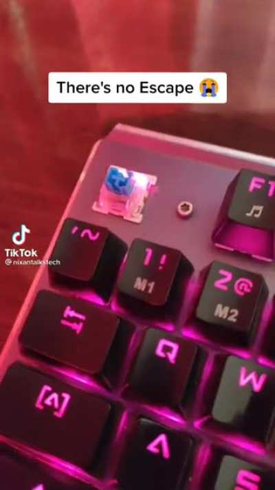 Pa upvote