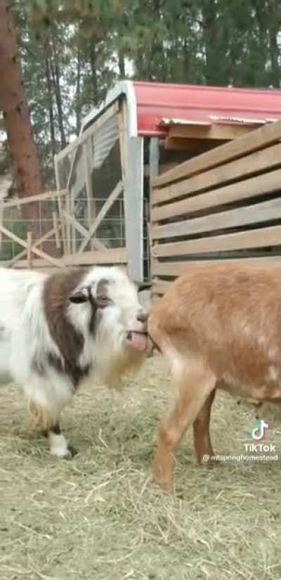 nature is beautiful