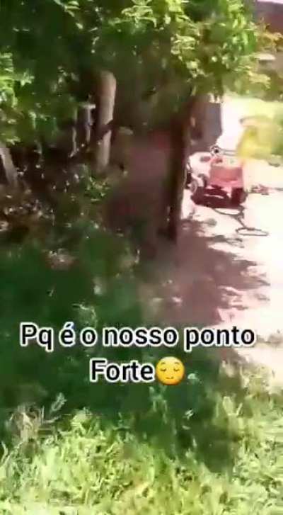 Postei Mesmo