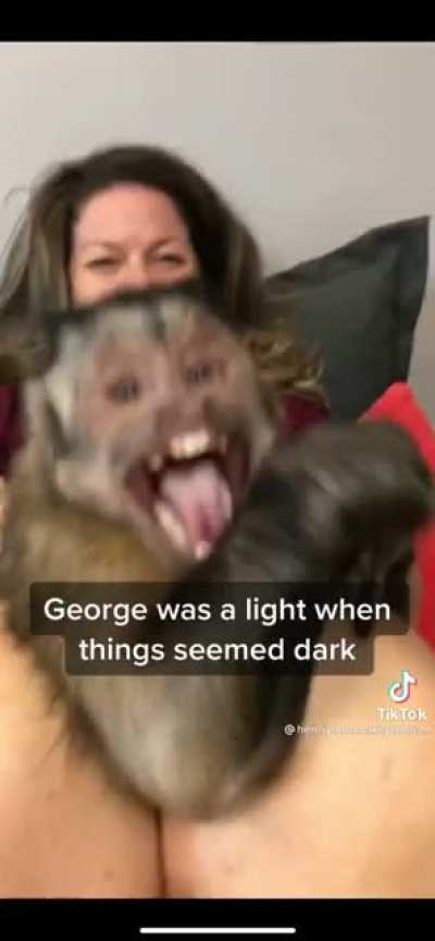 Famous TikTok Star 