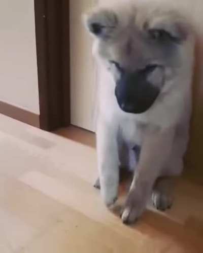 Tappy taps!