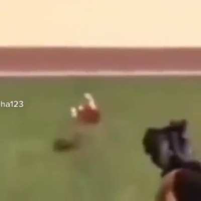 when you see it you will shit bricks