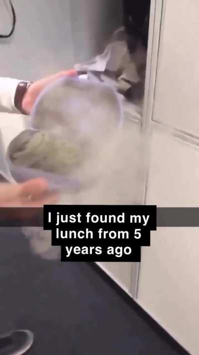 Really moldy lunch