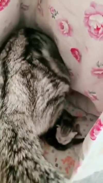 Precious mommy