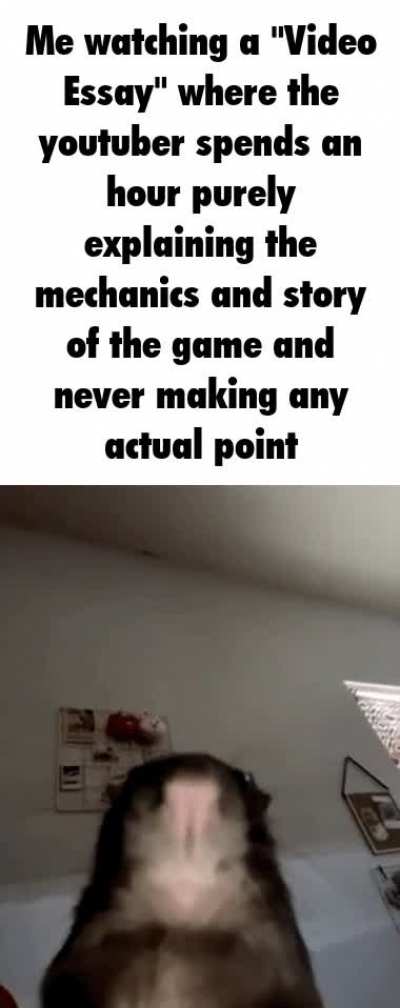 Rule