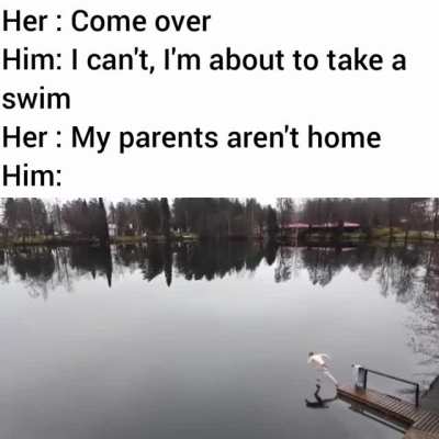 Meanwhile in finland