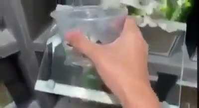 Watering plants