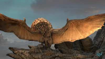 Bazelgeuse sunbathing