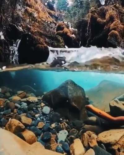 Crystal clear water in an Alaskan lake