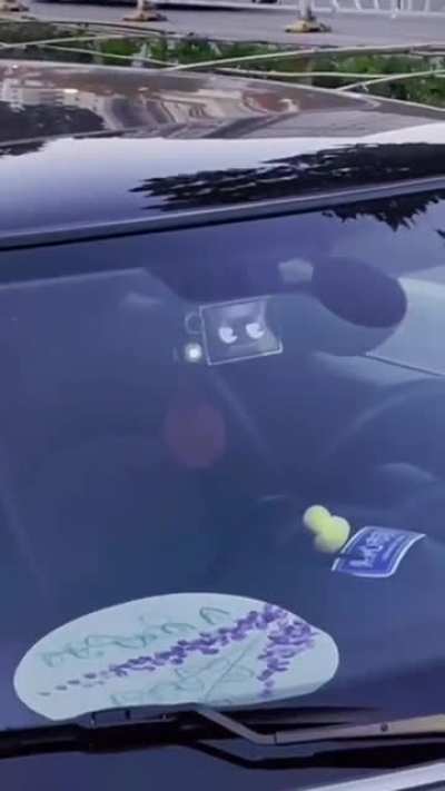 this dashcam silently judges you