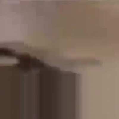 banan