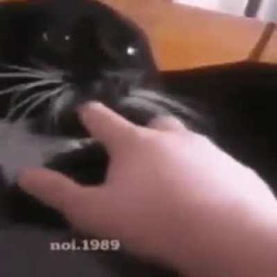 rule