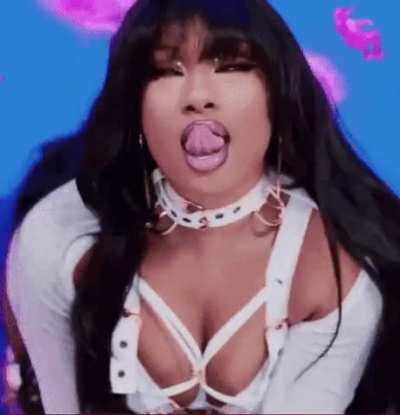Megan thee stallion 