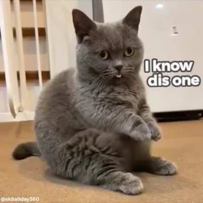 If I sits..