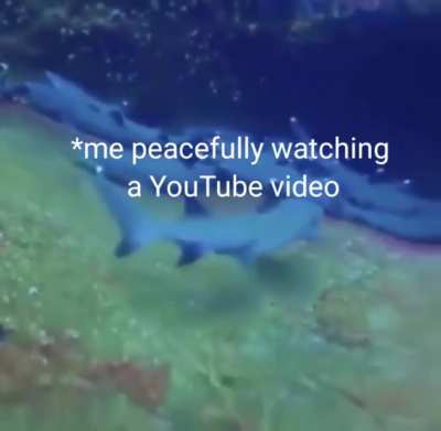 Every damm time