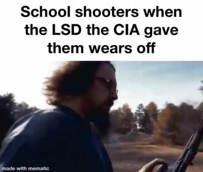 Government sanctioned weaponized femboys