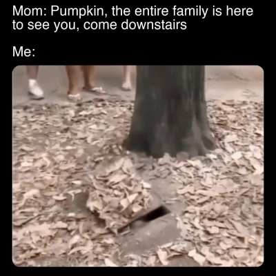 The struggle is real