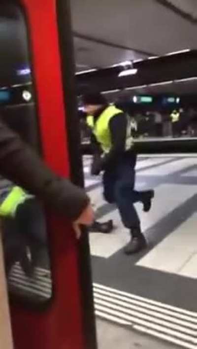 Man pulls knife on train passengers and gets tackled by police (Zürich, Switzerland)