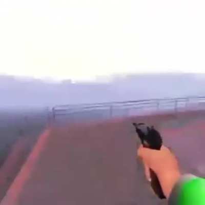 Hahahahahahaha hahahahahahahaha funny furry video