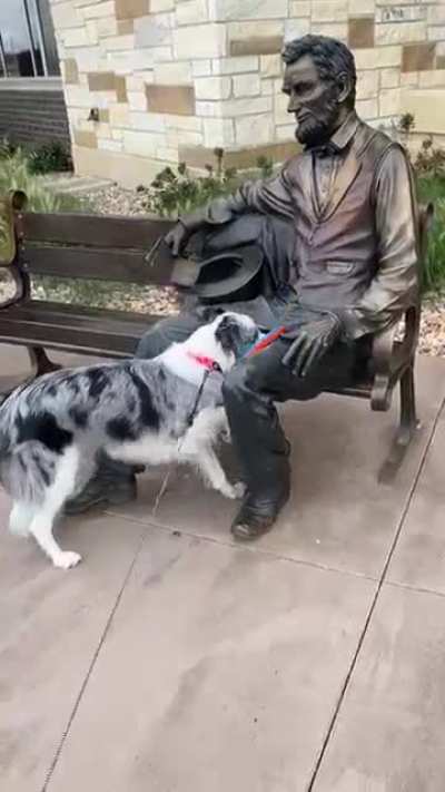 Давай Эйб, просто брось это чëртово фрисби!