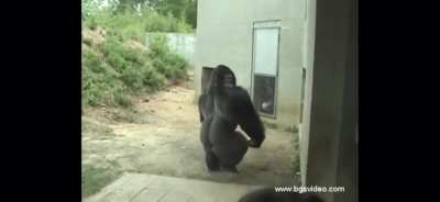 Me omw to work