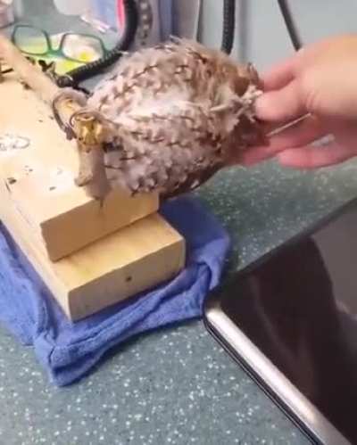 Don't scratch too Hard
