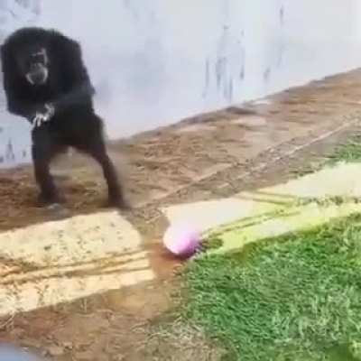 O novo Pelé ⚽