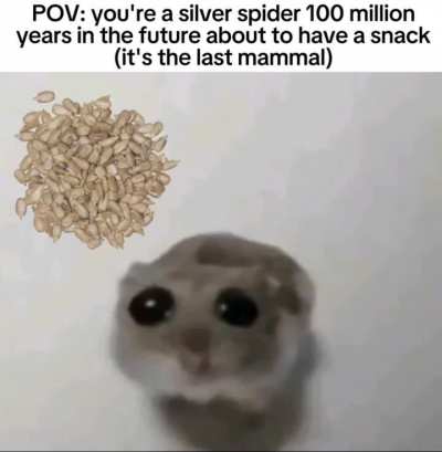  The future is wildy 