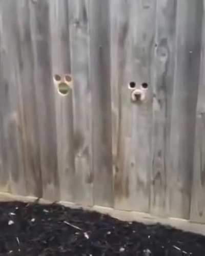 They’re watching you