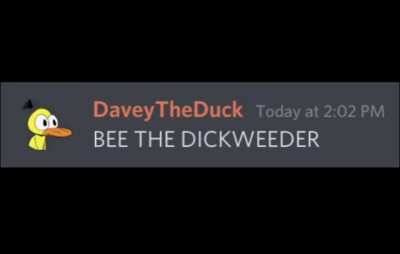 the duel