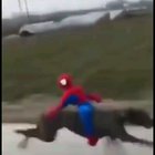 Se ve fresco el pana