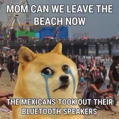 Average Beach Experience