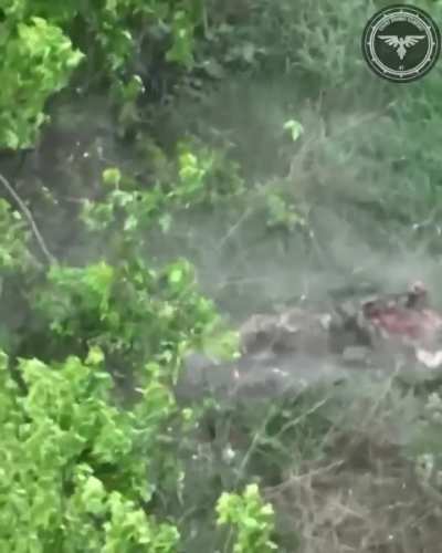 Another Russian suicide. Near avdiivka, unsure on the date and if it’s a repost.