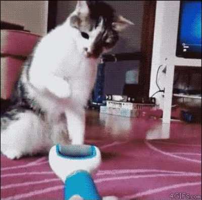 The special move