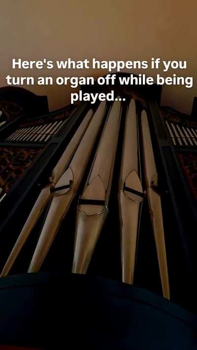 Now I know where the horror movies get their music.