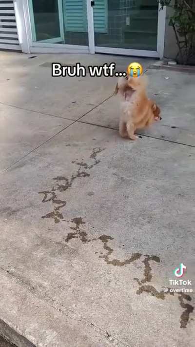 Taking a piss