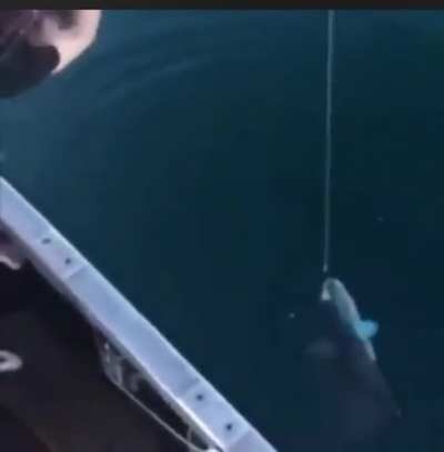 Fishing gun: it’s just a gun for fishing