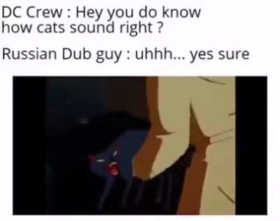 Rule🐱