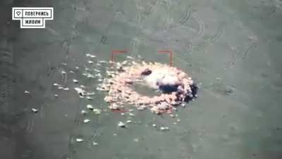 A Russian TOR SAM system was discovered by members of the GUR and then destroyed by a HIMARS