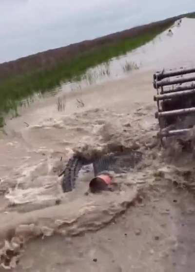 Farming in Louisiana is tough.