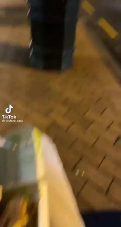 Perfectly Cut Seagull