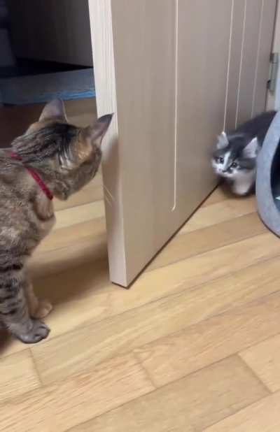 First time meeting