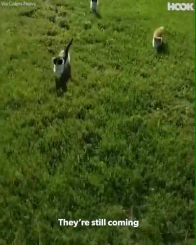 To make oompie say aaaw
