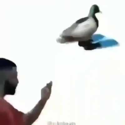 a-anime 😳😳